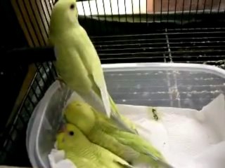 우리카지노 ♡─▶ JUST78．ＲＯ．ＴＯ ◀─♡ 월드카지노