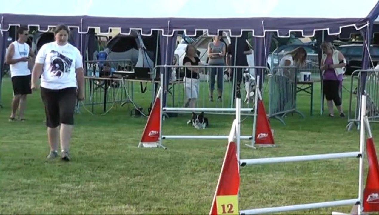 GIN 1er degré concours d'agility d'ingwiller 22/06/2013