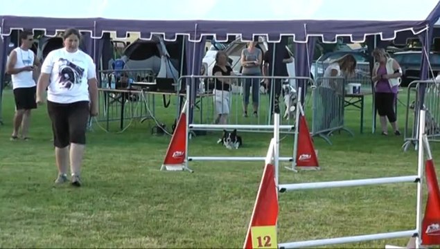 GIN 1er degré concours d'agility d'ingwiller 22/06/2013