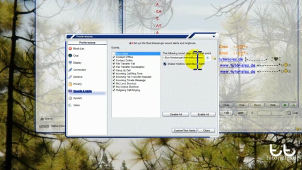 Win Bus Preguntas Frecuentes