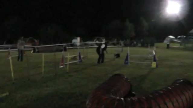 GIN jumping concours d'agility d'ingwiller 22/06/2013