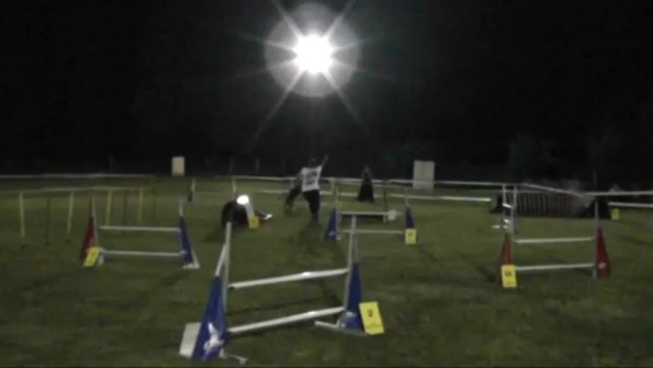 Dixie jumping + concours d'agility ingwiller 22/06/2013