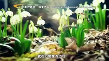 全能神教会《国度礼歌一　国度降临在人间》