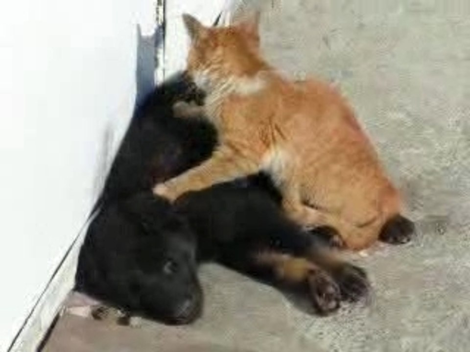 hot_massage