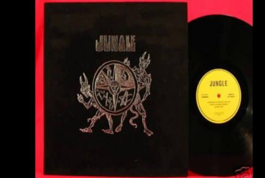 Jungle Gray Picnic & Changes I'm Going Through 1969 CA Psych.