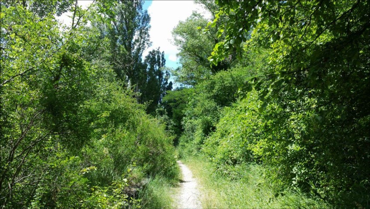 saillans 23 juin 2013