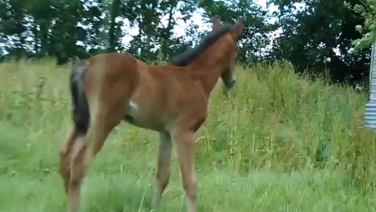 DIDOU ET LE BALLON, 25 jours