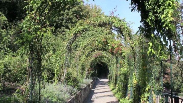 La colline de Fourvière, une vue sur 2000 ans d'histoire