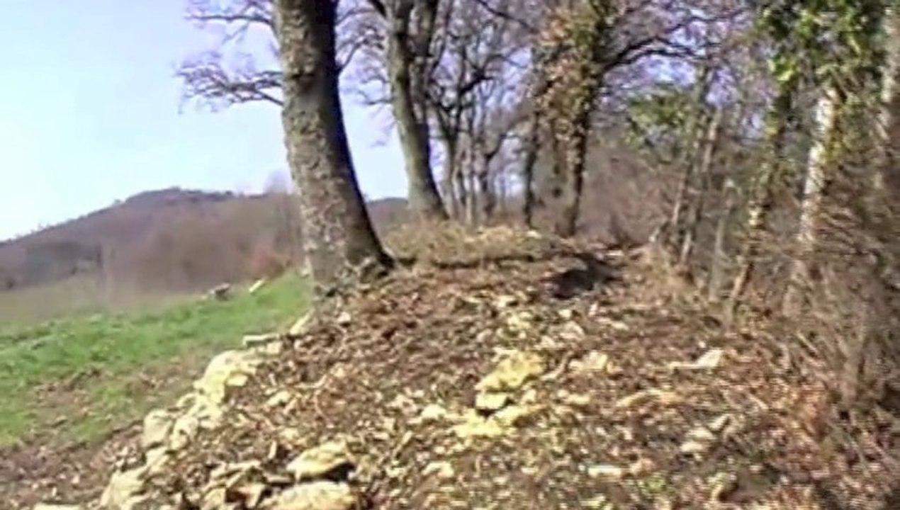 Sono Risorto