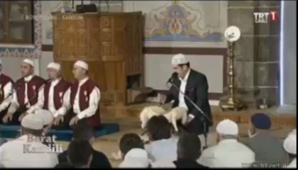 Amine hatun Adem Karabey Beraat 2013