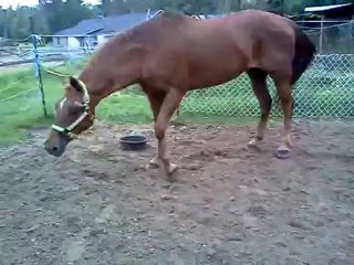 Évolution de la démarche de Phénix