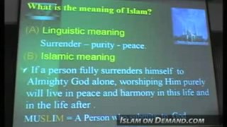 linguistic meaning and islamic meaning of word ( Islam)   (  wonderful )