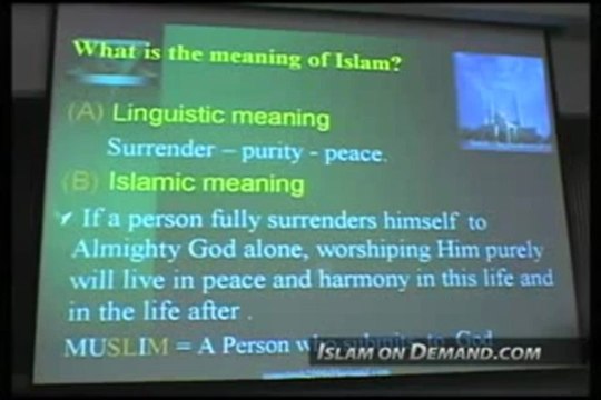 linguistic meaning and islamic meaning of word ( Islam) ( wonderful )