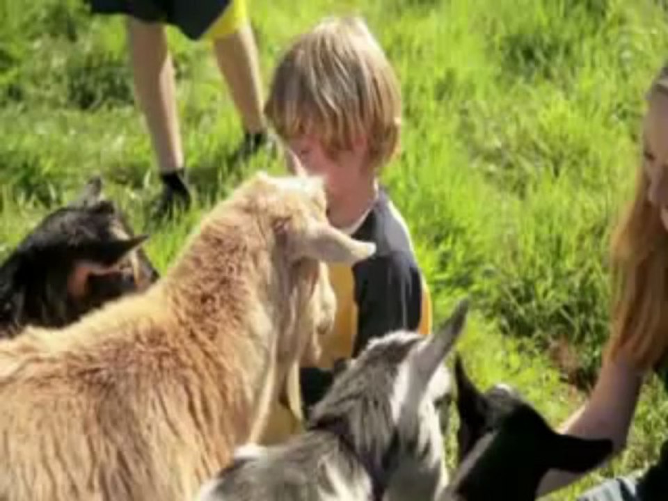 Hyundai Santa Fe Dealer woodinville, WA | Hyundai Santa Fe Dealership woodinville, WA