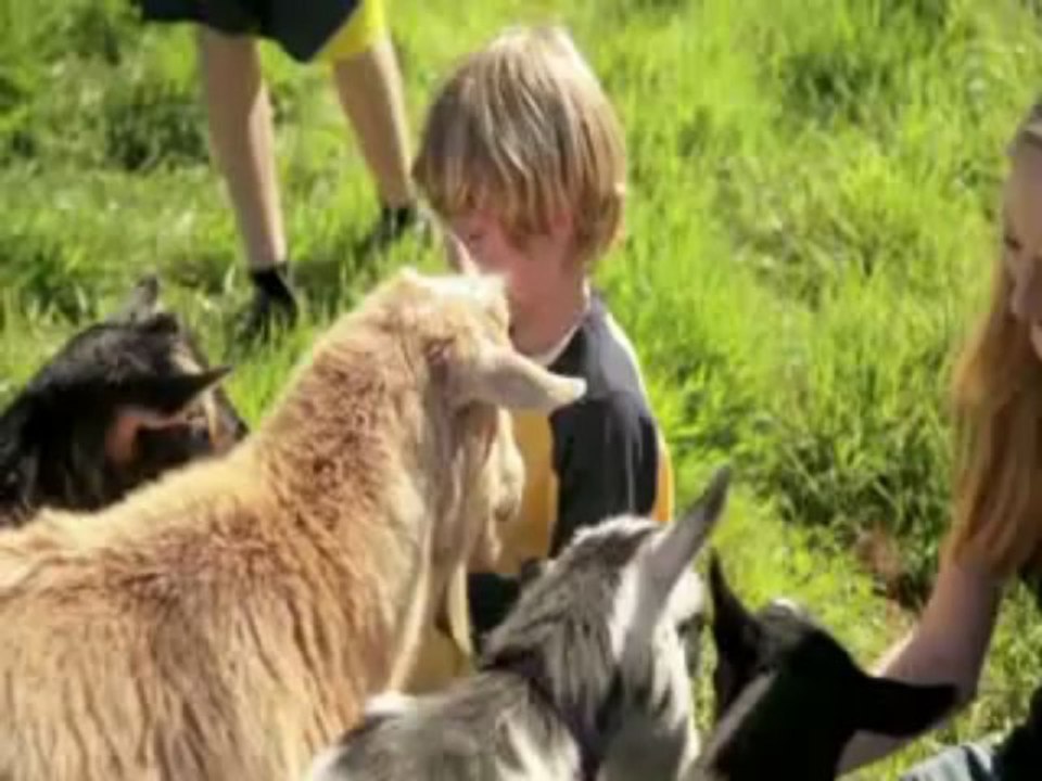 Hyundai Santa Fe Dealer lynnwood, WA | Hyundai Santa Fe Dealership lynnwood, WA