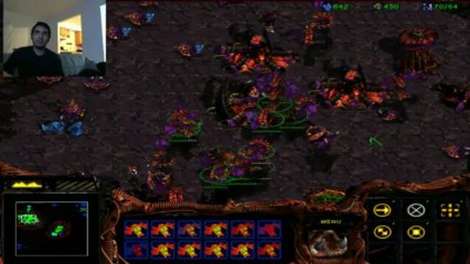 Starcraft Modo historia Zerg parte 2