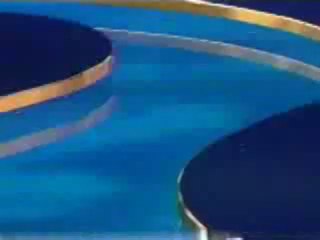 Warner Bros. Pictures/Morgan Creek