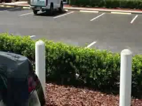 2013 Chevrolet Volt Dealership Wesley Chapel, FL | Chevrolet Volt Dealer Wesley Chapel, FL