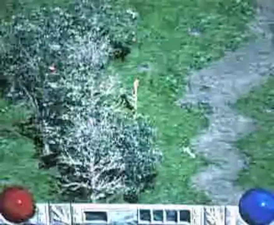 DiabloII: Video beta