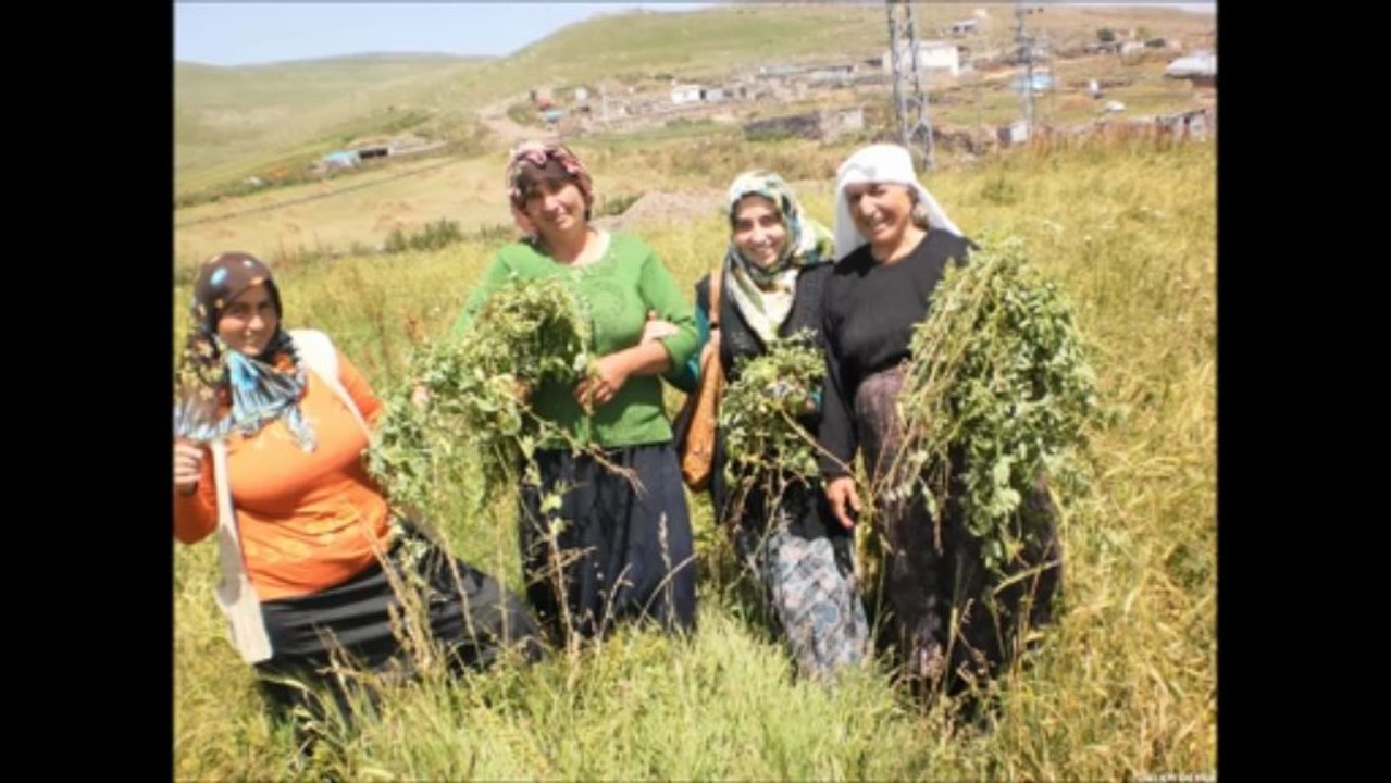 SALİM DEMİR YAYINLARI