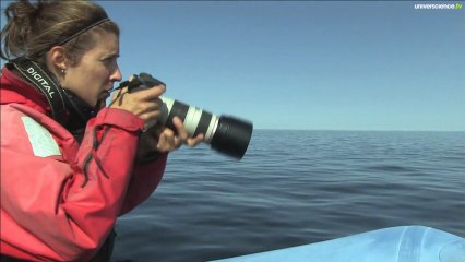 Des ailes pour la science : Canada