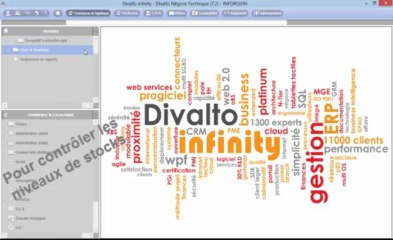 Divalto Infinity 7.2 Reporting