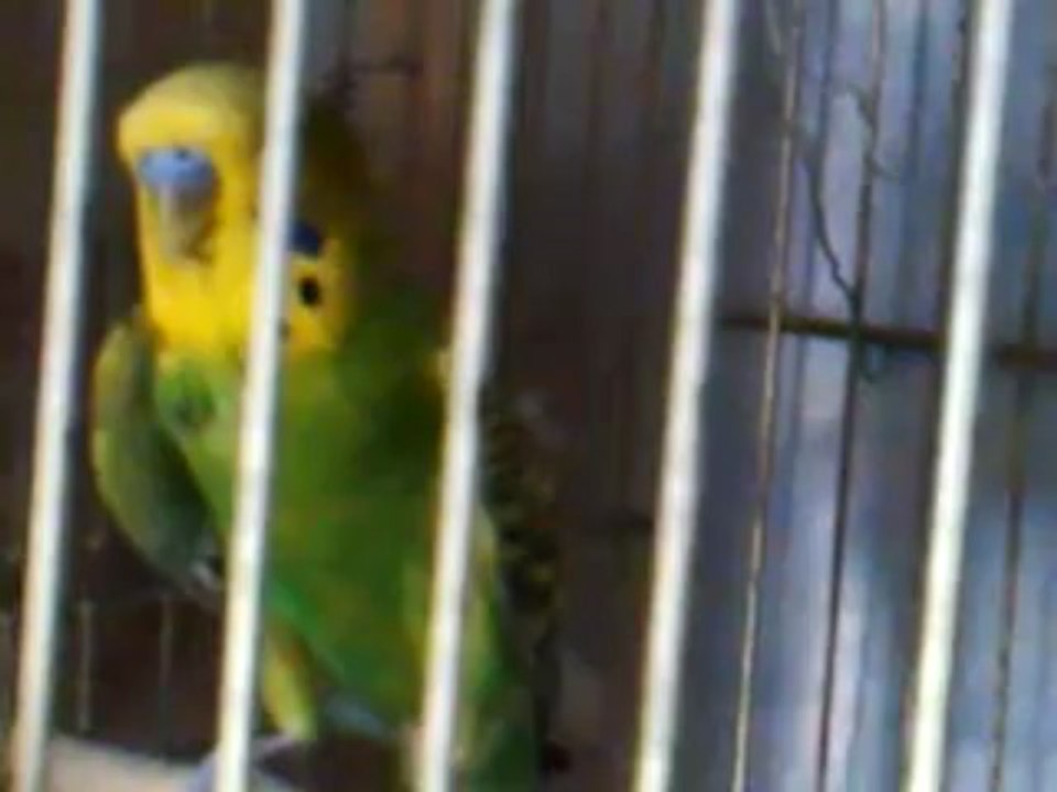 Video0108