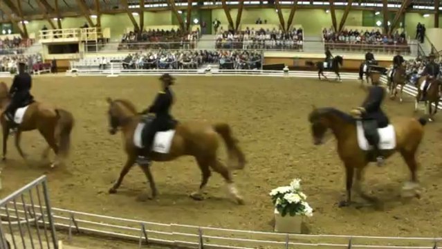 13 juin 2013 - Final de la présentation du Cadre Noir de Saumur