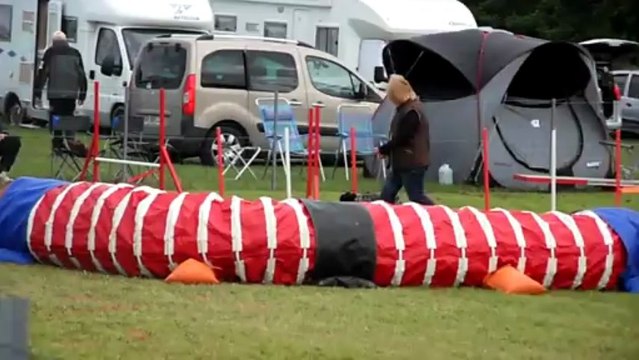 Concours d'agility saint pierre de mons 23 06 2013 Bianca