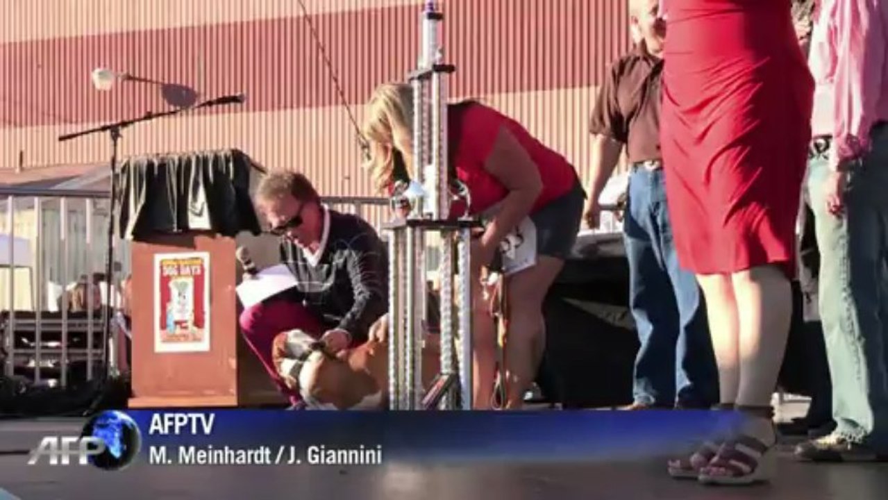 Hässlichster Hund der Welt mit Buckel und Watschelgang