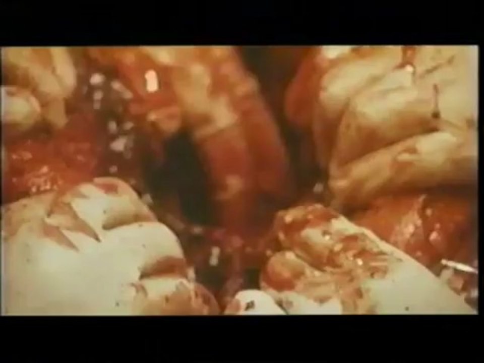 映画　：　731の最後　「死亡列車」　（４）