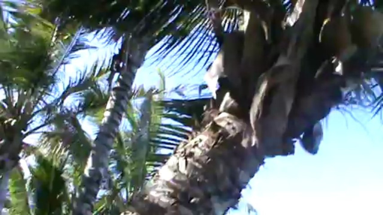 Mauritius Hotel LUX Grand Gaube Grand Gaube Pereybere Norden Mauritius