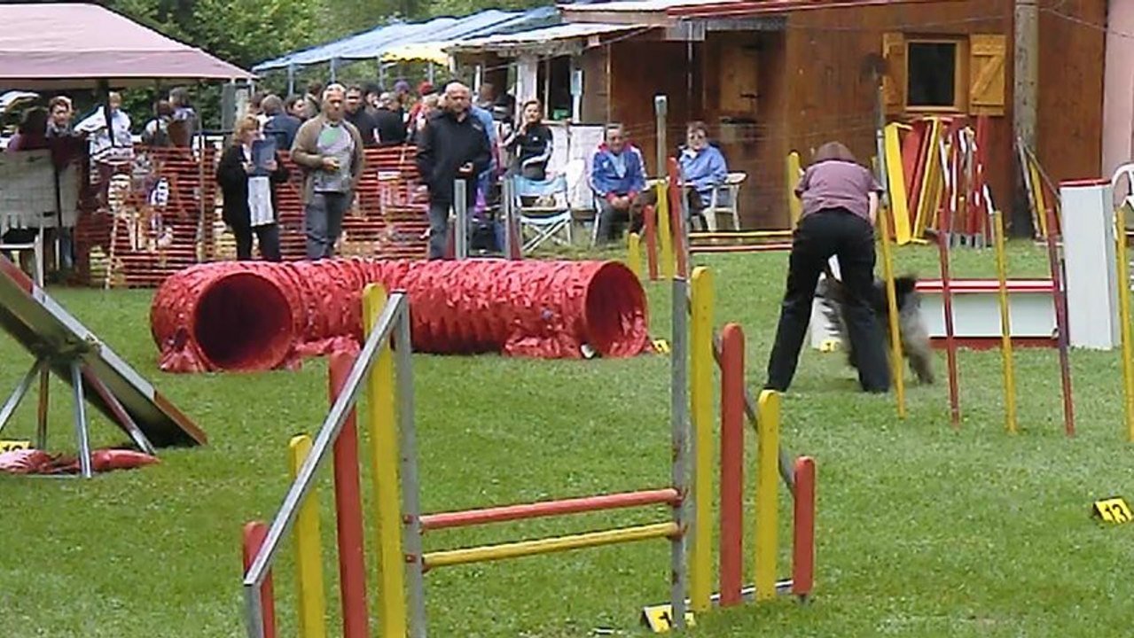 Agility La Cote - 2nd degre 230613