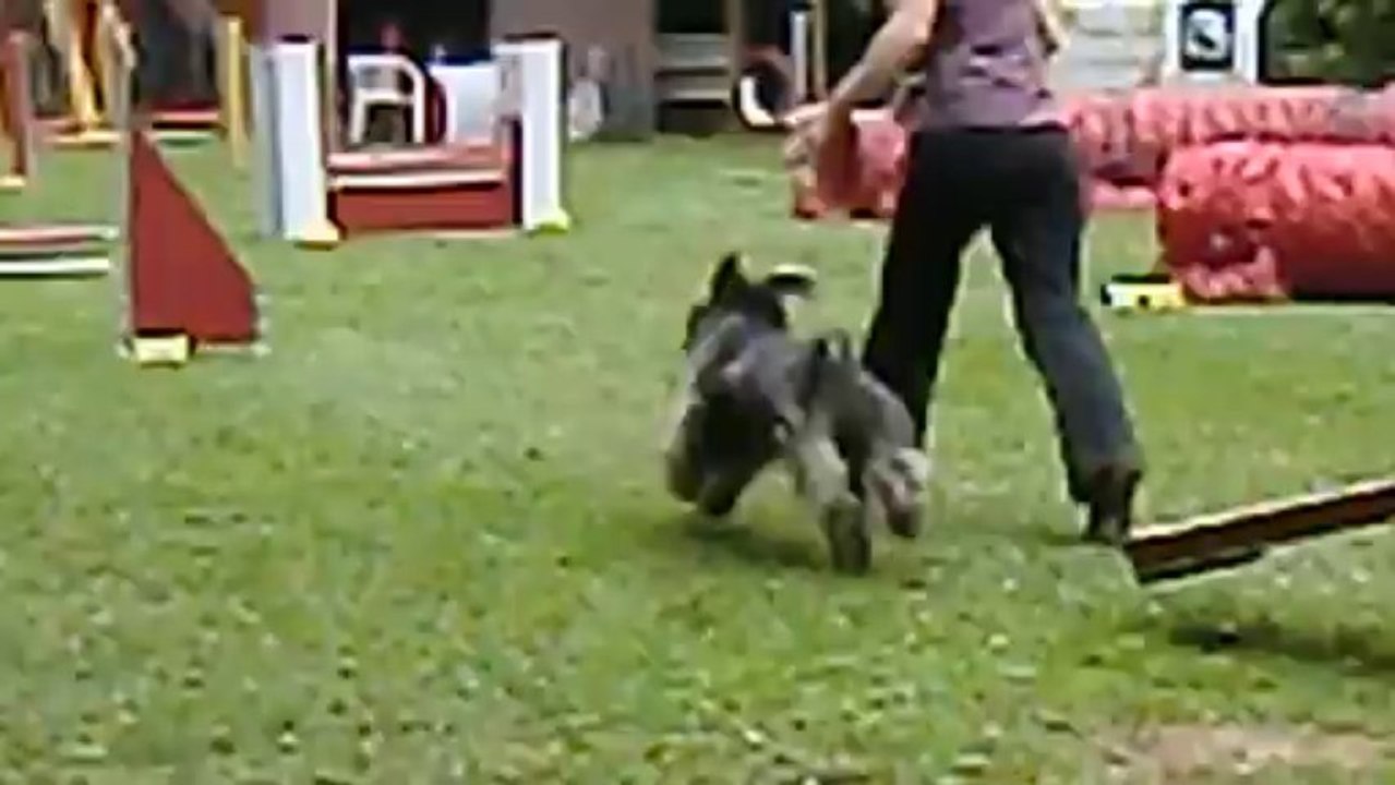 Agility La Cote - GPF 230613