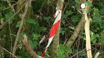 Annecy cinayetinde 1 kişi gözaltına alındı