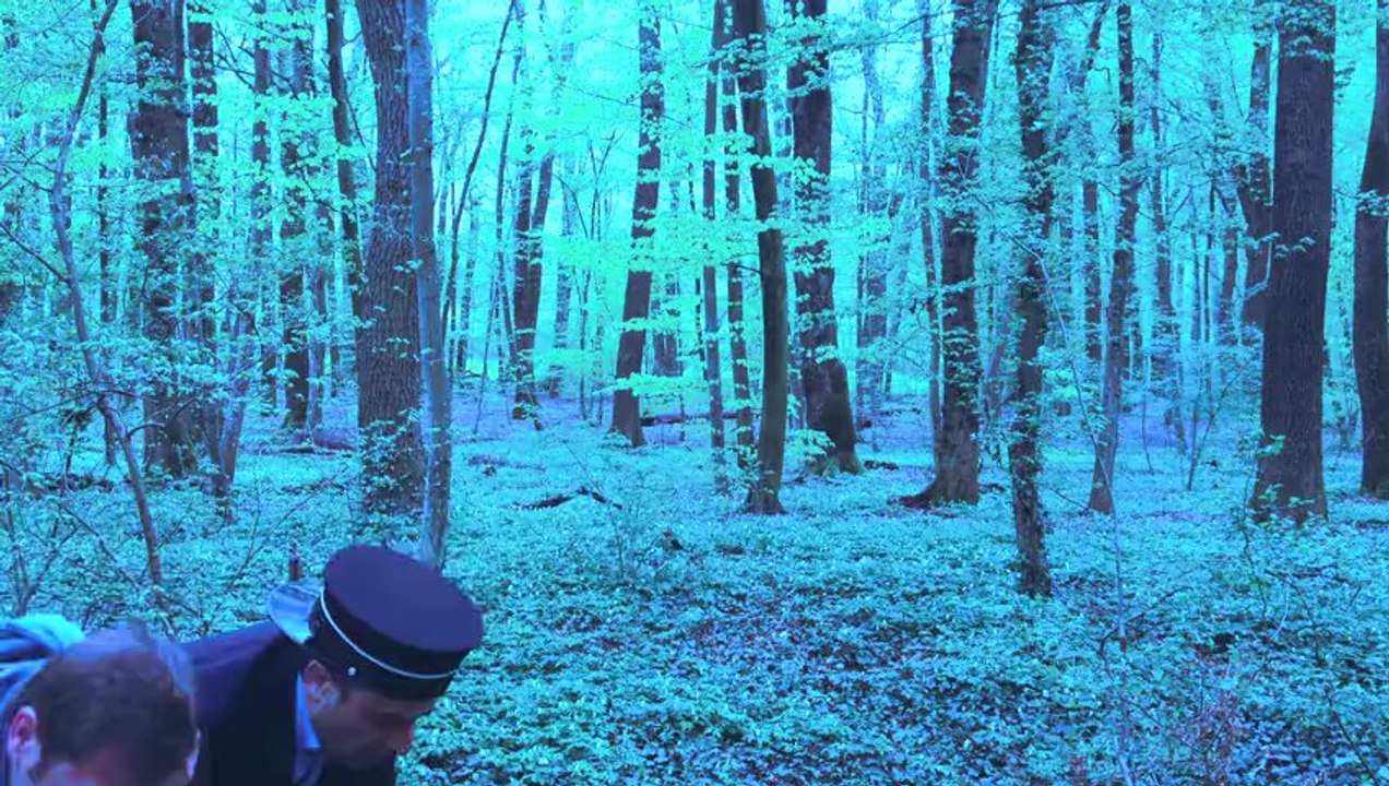 LES FRERES BUGNON / SMART FAUNE " Les Dernières Tendances" / Les Chemins de fer Fédéraux Suisse