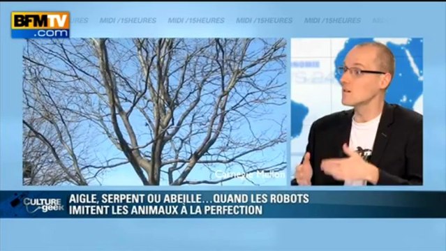 Culture Geek: aigle, serpent ou abeille, quand les robots imitent les animaux - 24/06