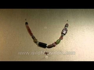 Beads, Semi Precious Stones, Shells,etc of Harappan Periods at display