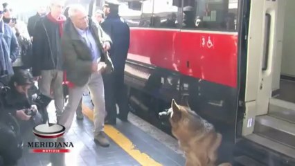 Rex testimonial del Frecciarossa, i cani viaggiano ad alta velocità