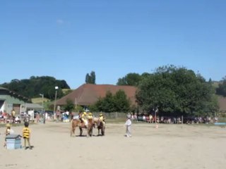 Spectacle poney Laulau