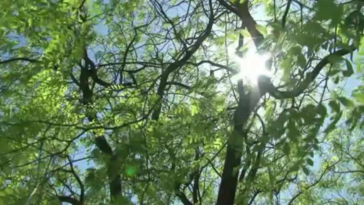 أرصفة لشبونة الفنية مهددة بسياسة التقشف