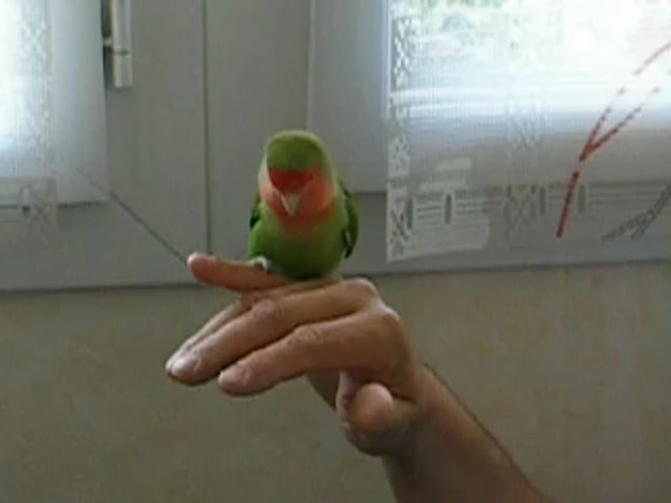 Vanille se fait du bien