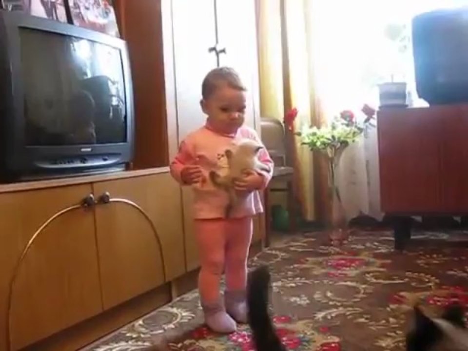 une chatte veut récupérer son chaton