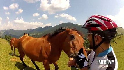 When Animals Attack Compilation || FailArmy