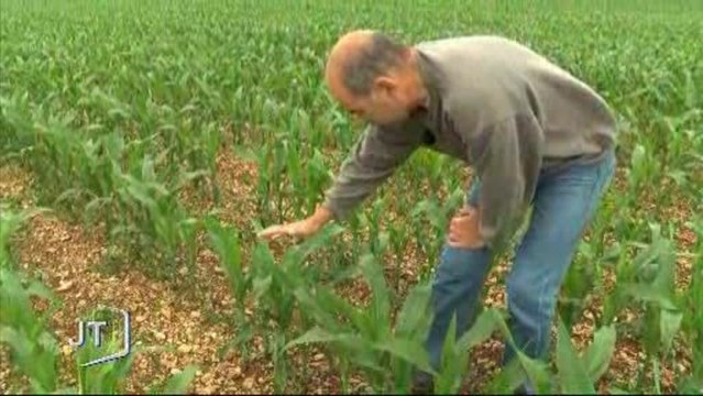 Météo : Les exploitants agricoles à mal (Oulmès)
