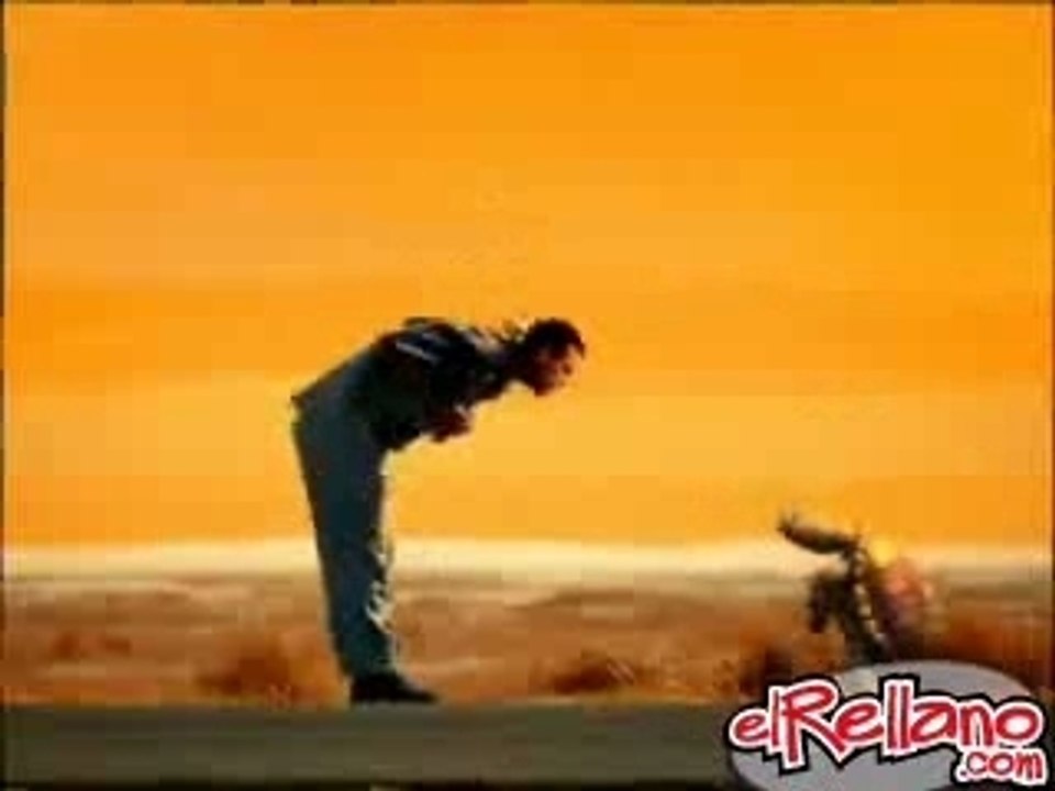 tortue_2_le_retour