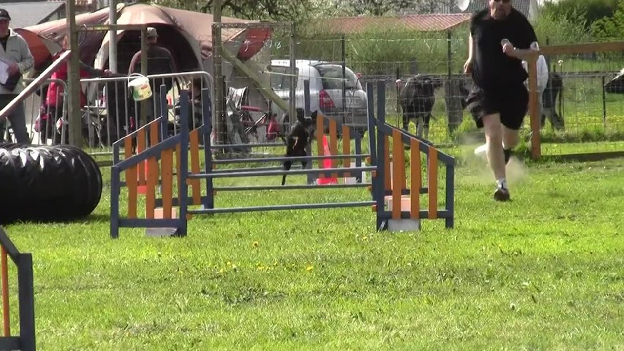 HELLBOY GAGNE LE JUMPING PLUS A LIERCOURT 2013