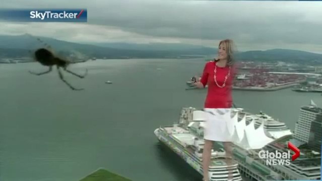 Une présentatrice effrayée par une araignée géante... Trop drôle!