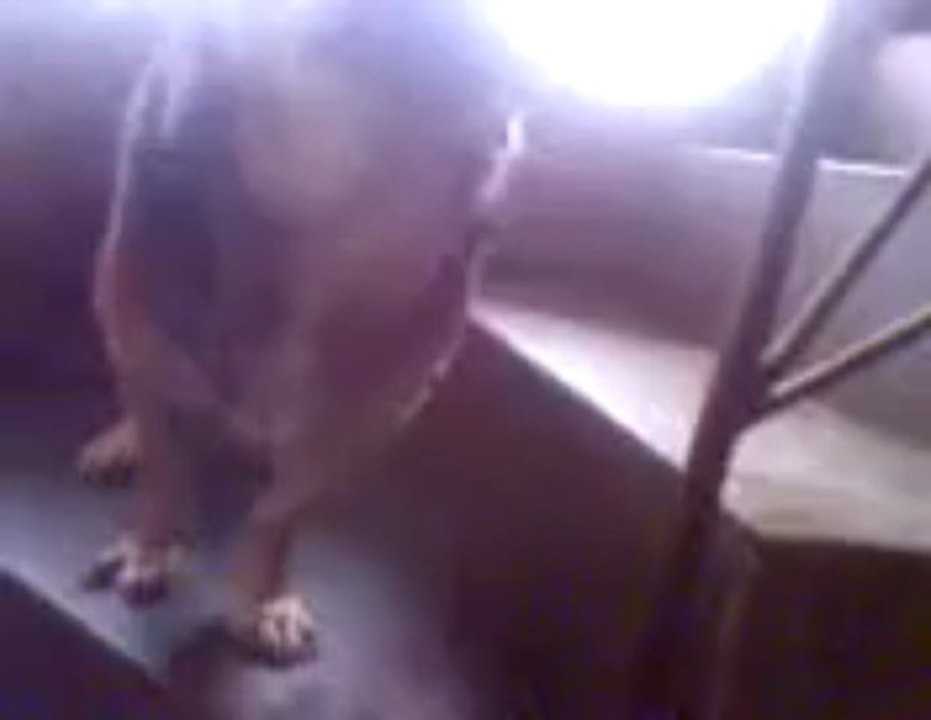 chaska y rambo 3