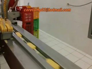 Automatic ice cream packaging machine